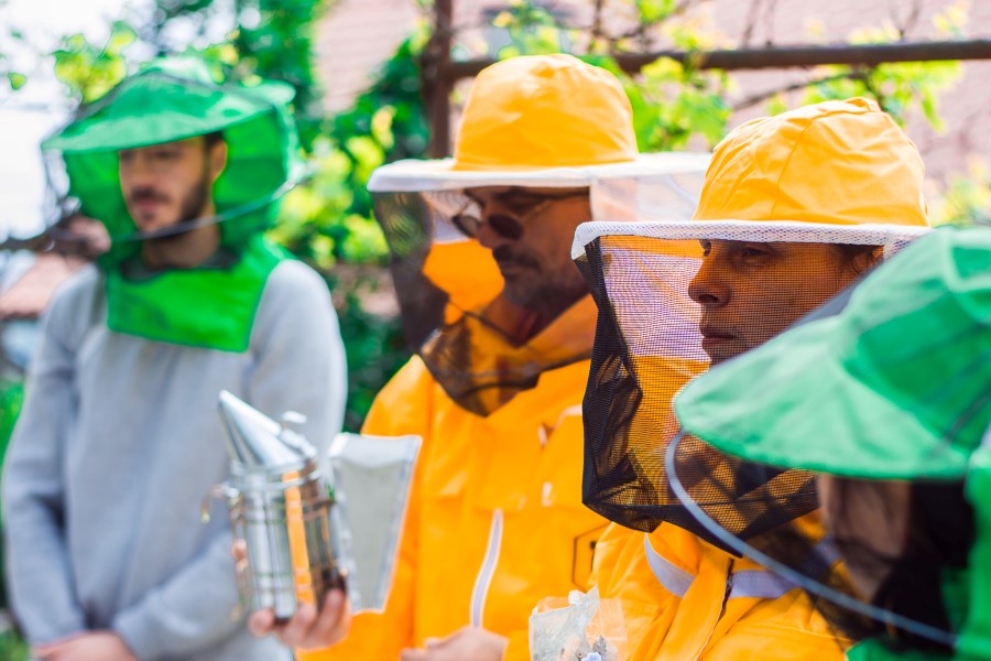 Radionica osnove pčelarstva