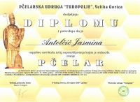 1-diploma-jan