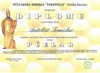 2-diploma-tan
